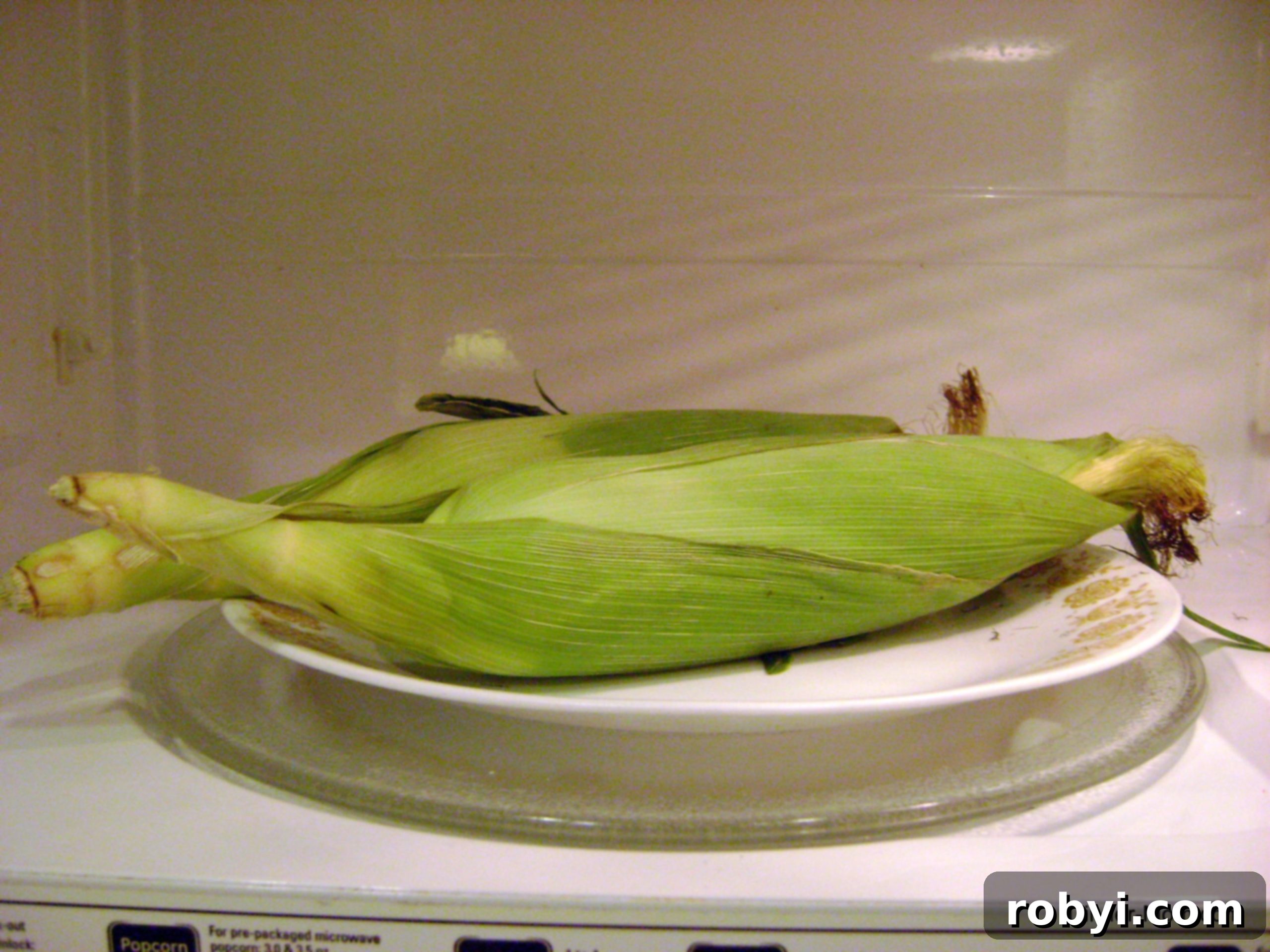 Corn on the cob in husk on plate in microwave.