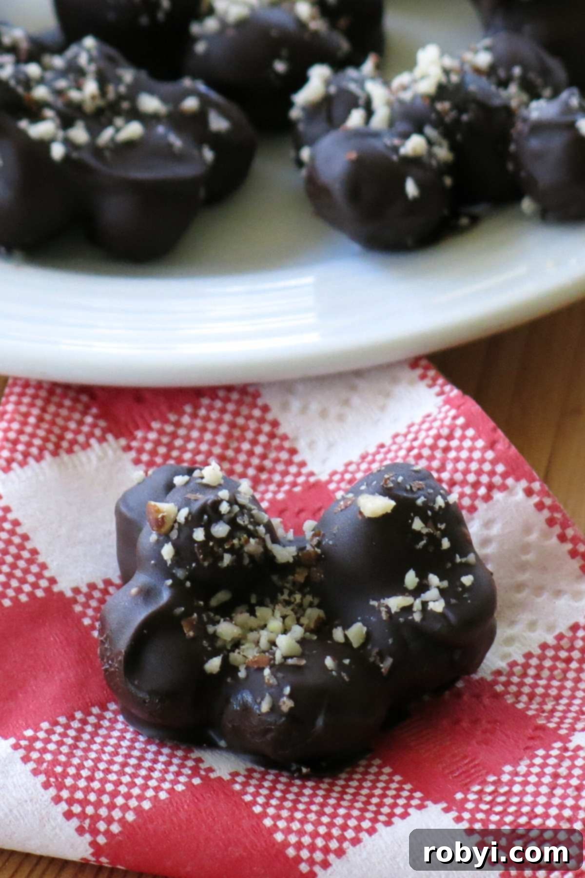 Dark chocolate blueberry cluster on a red checkered napkin with more chocolate covered blueberries behind it.