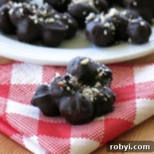 Cluster of dark chocolate covered blueberries on a red checkered napkin with more behind it.