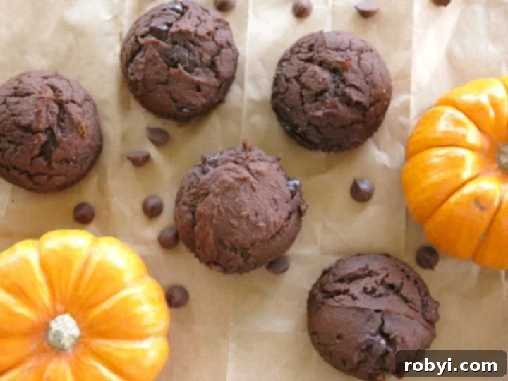Overhead shot of the best chocolate pumpkin muffins with 2 pumpkins on a brown paper bag