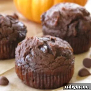 Close-up of healthy chocolate pumpkin muffin with 2 muffins and pumpkin in the background.
