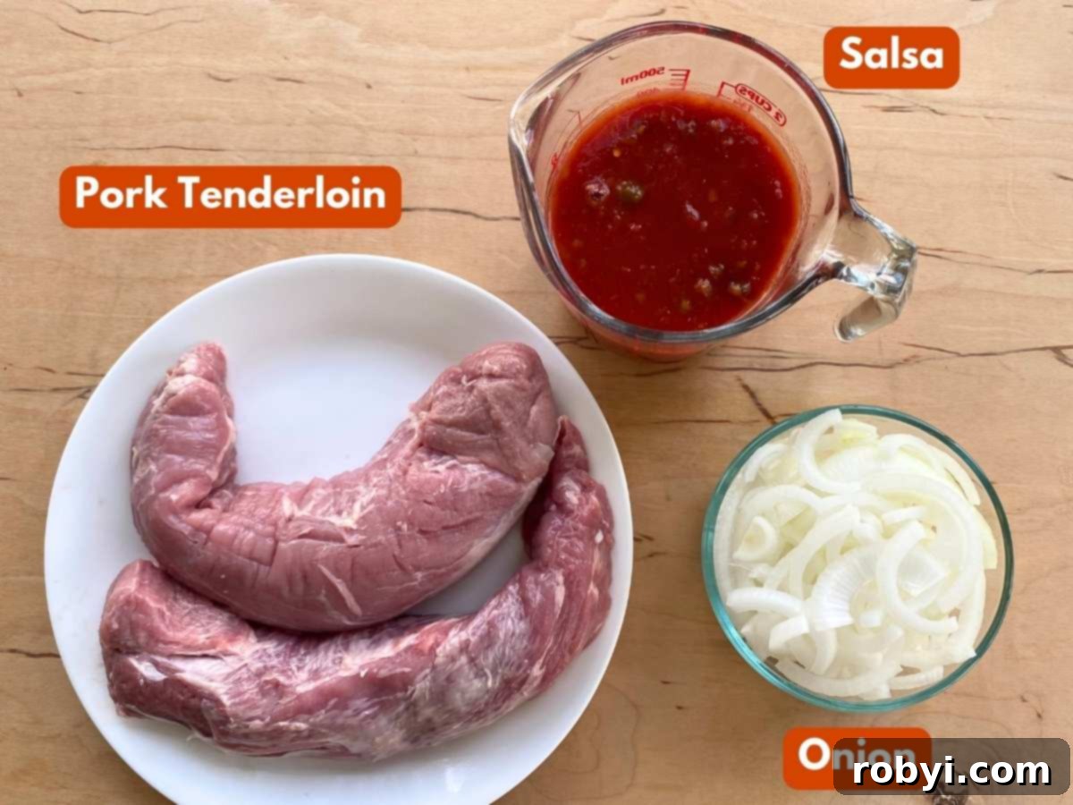 Pork tenderloin, a vibrant jar of salsa, and neatly sliced onions laid out on a rustic wooden cutting board, ready for cooking.