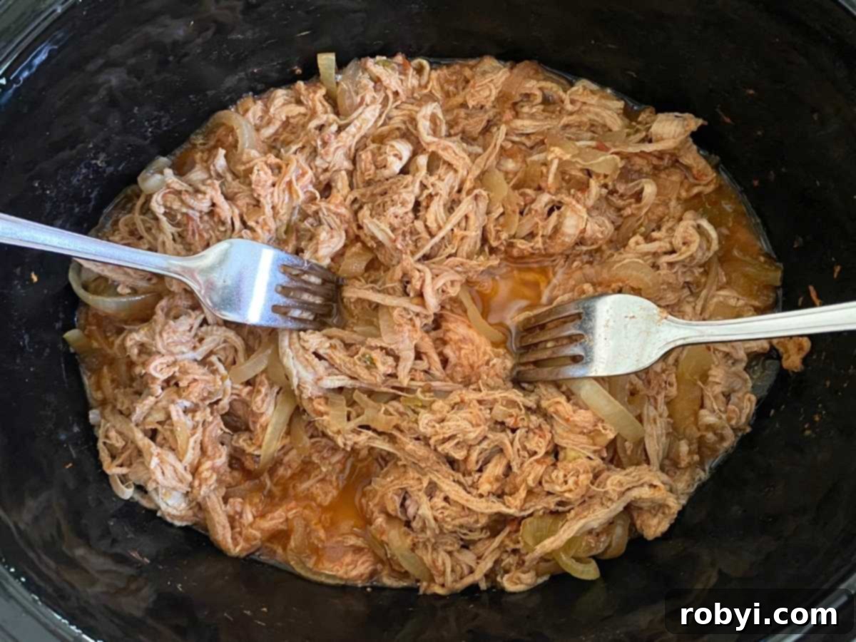 Cooked pork carnitas being effortlessly shredded with two forks directly in the base of the slow cooker, surrounded by its flavorful juices.