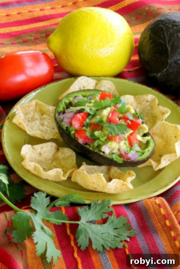 One Avocado Guacamole Recipe