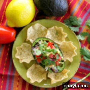 1 Avocado Guacamole Recipe