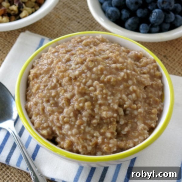 Bowl of cooked Steel Cut Oatmeal from a crockpot without any toppings.