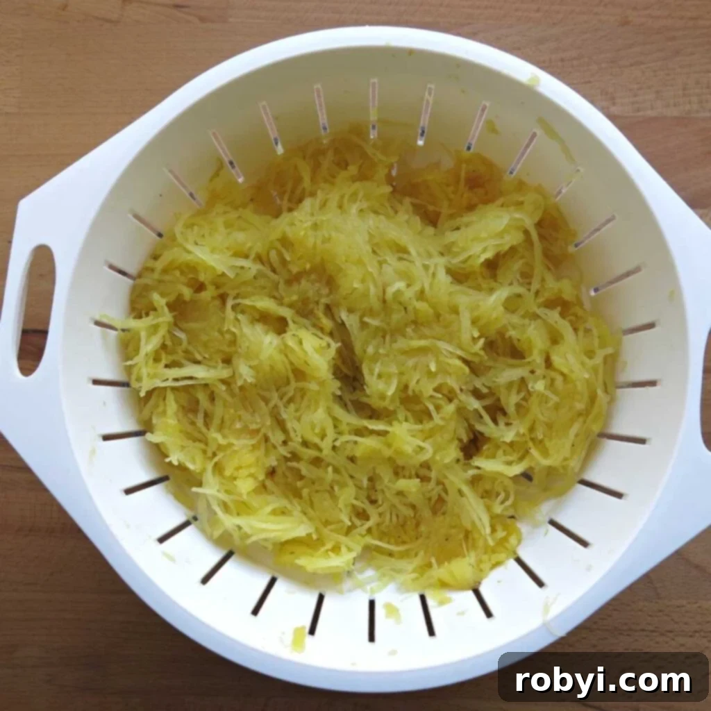 Freshly cooked spaghetti squash strands neatly gathered in a strainer, ready for the crucial liquid removal step.