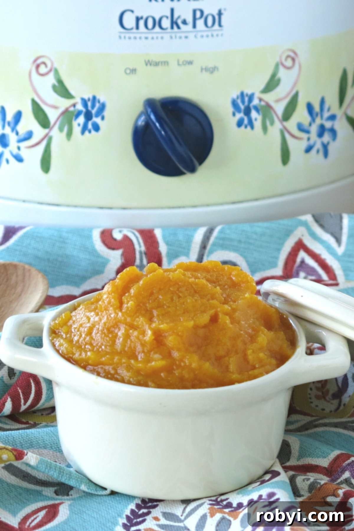 A bowl filled with freshly made butternut squash puree, with a slow cooker visible in the background.