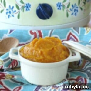 Pureed butternut squash in a bowl in front of a crock-pot.