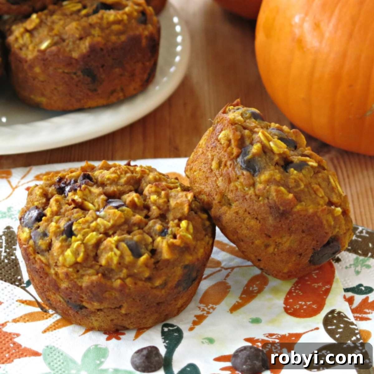 Two healthy oatmeal pumpkin muffins made with gluten-free oats and chocolate chips on a plate, perfect for breakfast or a snack.