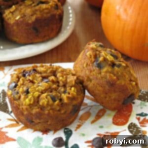 Two healthy oatmeal pumpkin muffins made with gluten-free oats and chocolate chips on a plate.