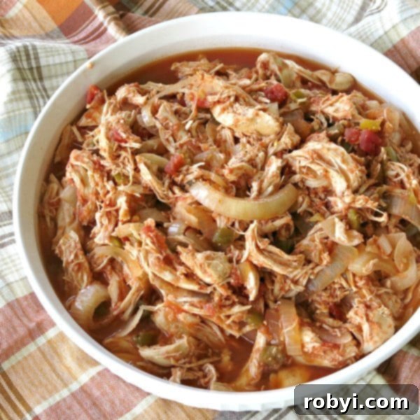 Delicious and easy Crock-Pot Salsa Chicken served in a rustic dish, garnished with fresh cilantro, perfect for family dinners.