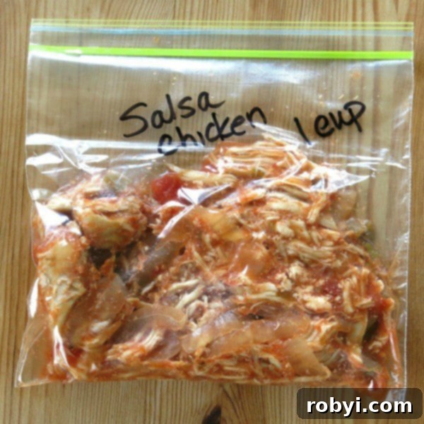 Shredded salsa chicken neatly packed in a clear freezer bag, ready for long-term storage and convenient meal preparation.