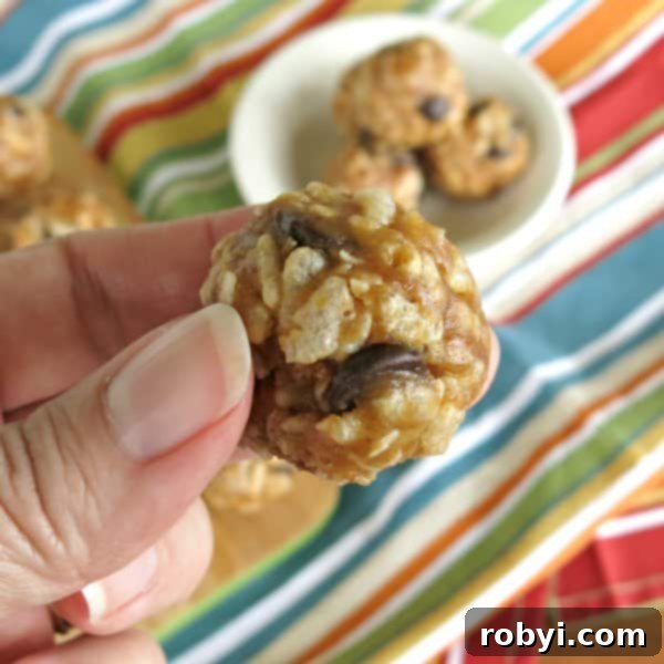 No-Bake Krispie Date Bites 3 Fingers holding an Energy Ball with Puffed Rice Cereal, showing its crispy texture.