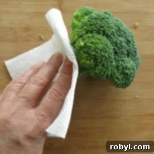 Hand drying stalk of broccoli with paper towel.