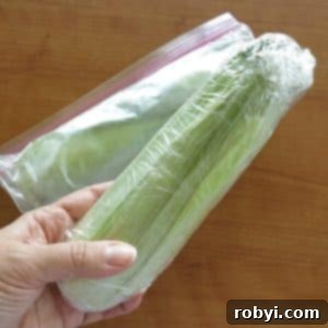 Lock in Flavor: Freezing Corn on the Cob, Husk Included 6 Fresh corn on the cob in husk, ready to be frozen