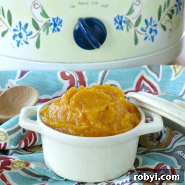 Crock-pot butternut squash puree in a bowl in front of a slow cooker, ready for use.