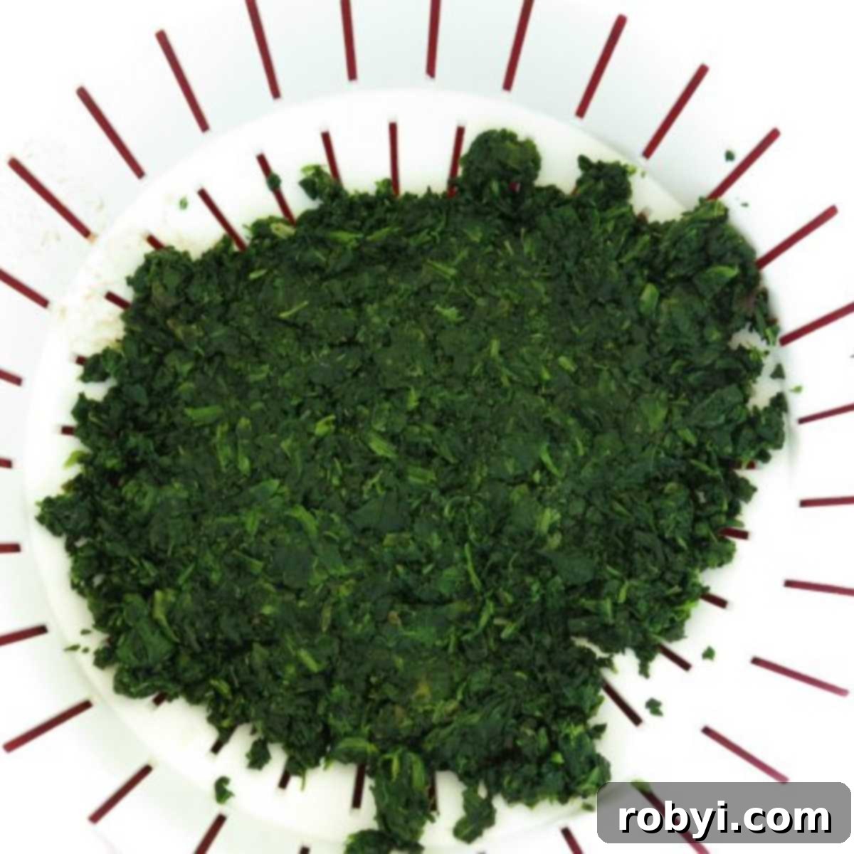Defrosted chopped spinach, tightly compressed in a strainer, with visible excess liquid removed and drained away.