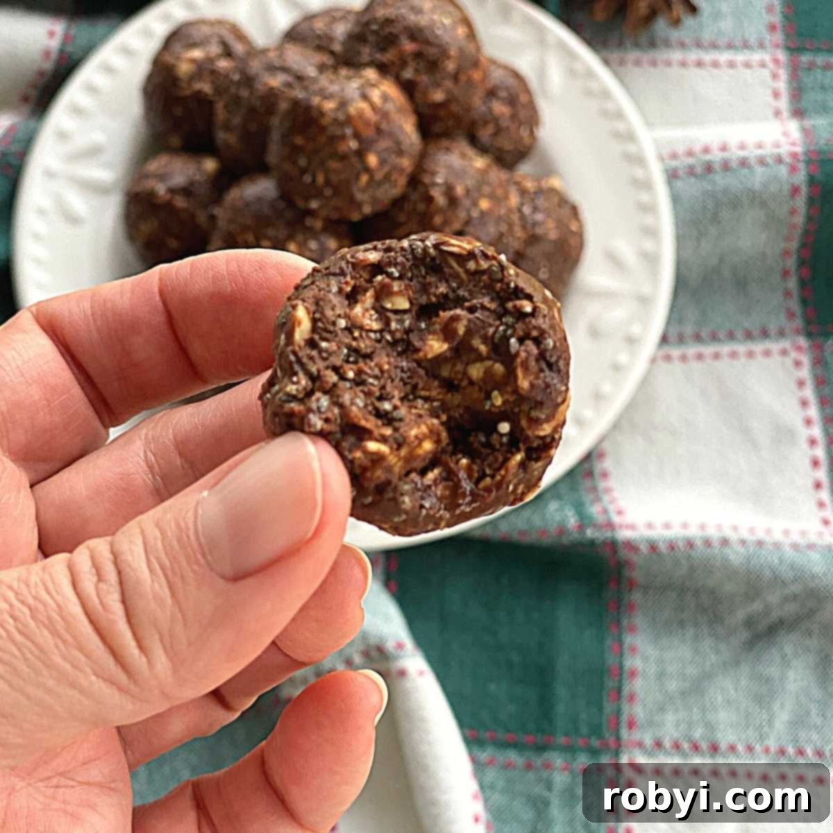 A hand holding a Chocolate Bliss Ball, with a bite taken, revealing its rich, dense texture, showcasing the perfect blend of chocolate and a hint of honey.