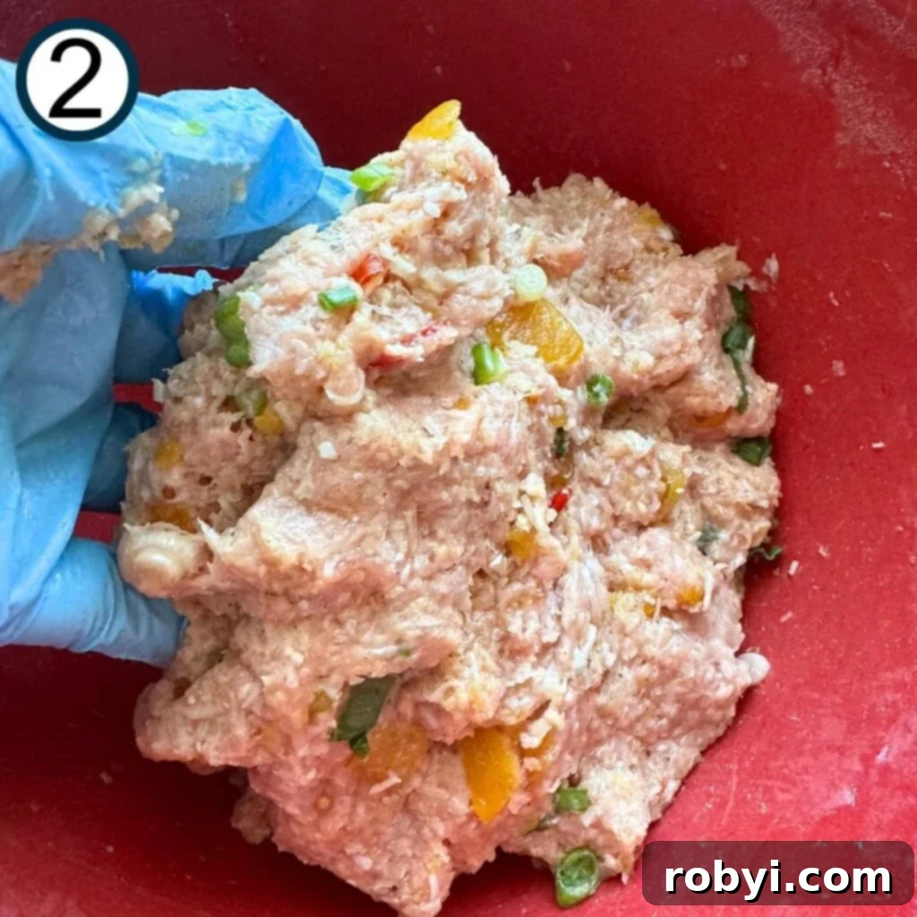 Blue-gloved hand holding combined combined mango chutney turkey burger mixture.