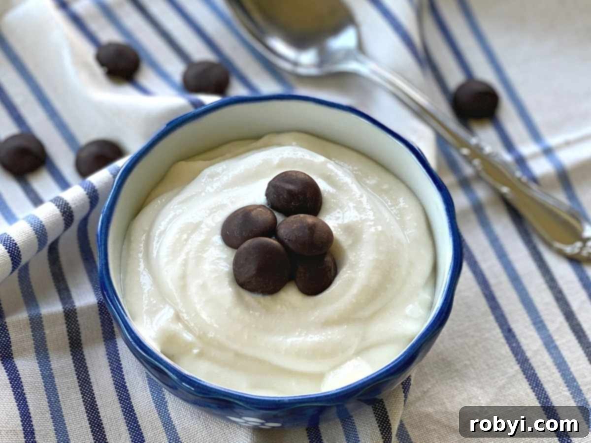 Whipped cottage cheese topped with chocolate chips.