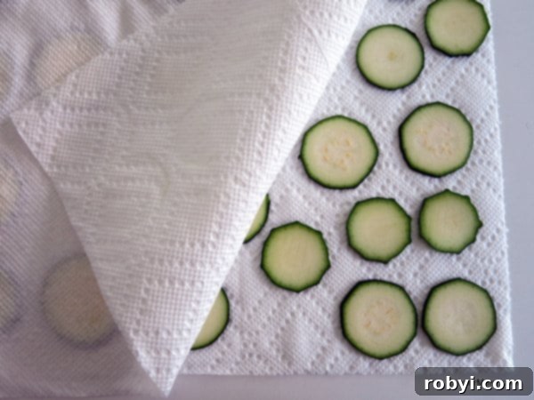Zucchini Sliced Thin