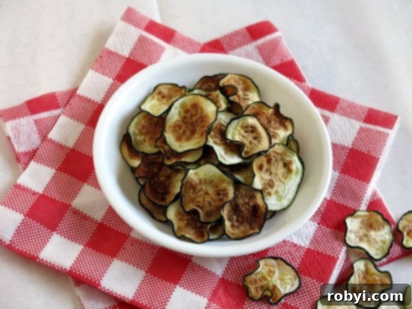 Oven Roasted Zucchini Chips