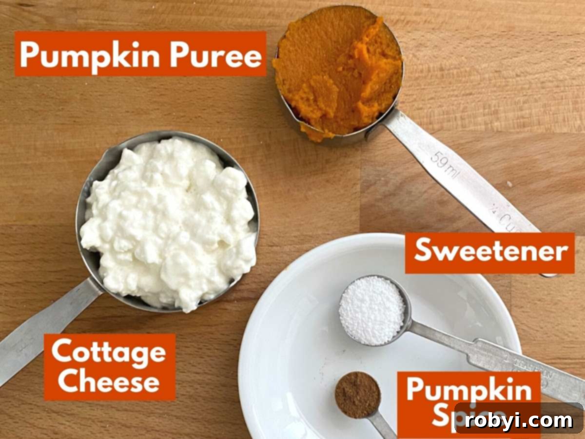 Labeled ingredients for the recipe: pumpkin puree, cottage cheese, sweetener, and pumpkin pie spice laid out on a surface.