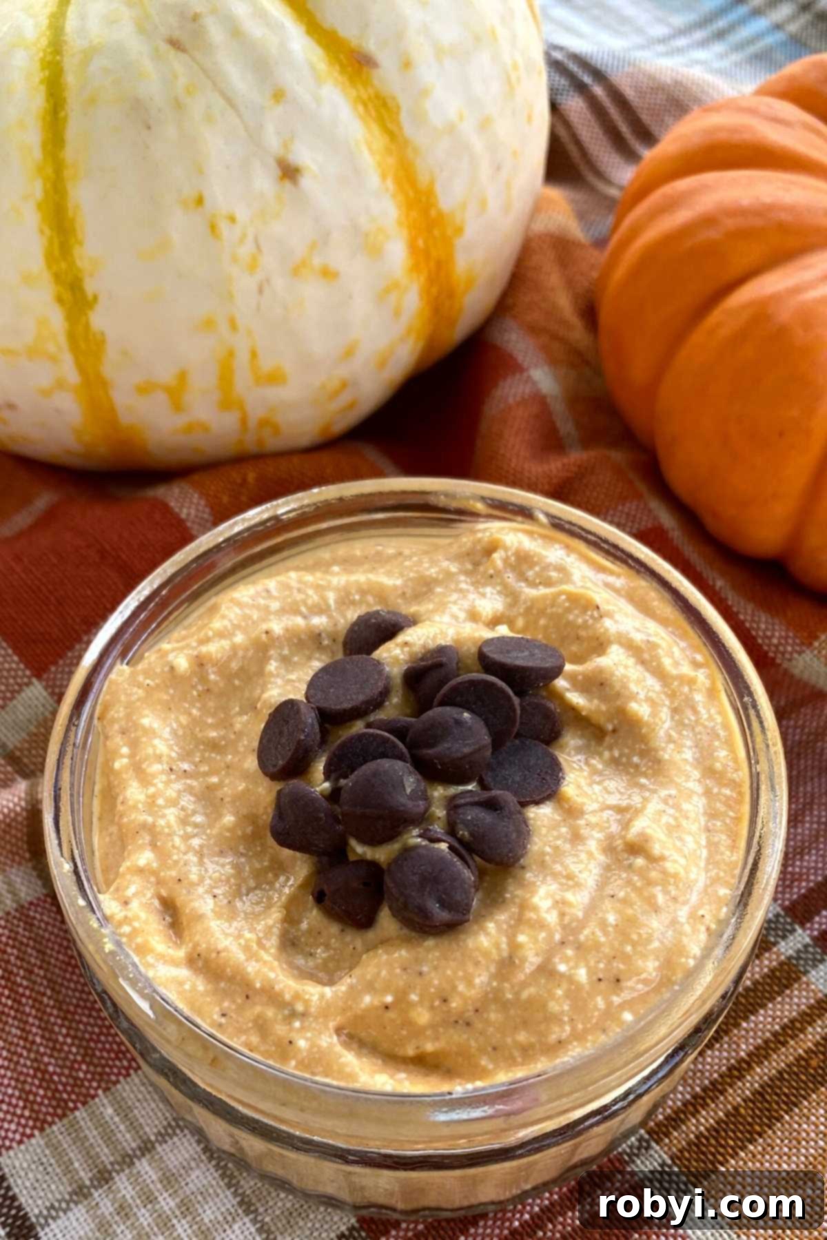 Whipped pumpkin cottage cheese dessert topped with chocolate chips, served in a glass cup.