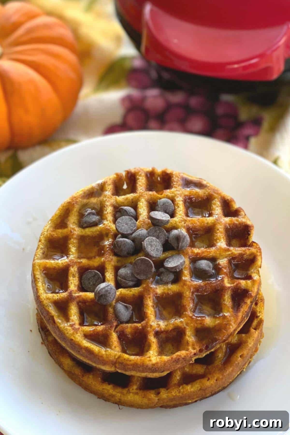 Two pumpkin chaffles made with cottage cheese and topped with chocolate chips stacked on a plate with a pumpkin and waffle maker behind them.