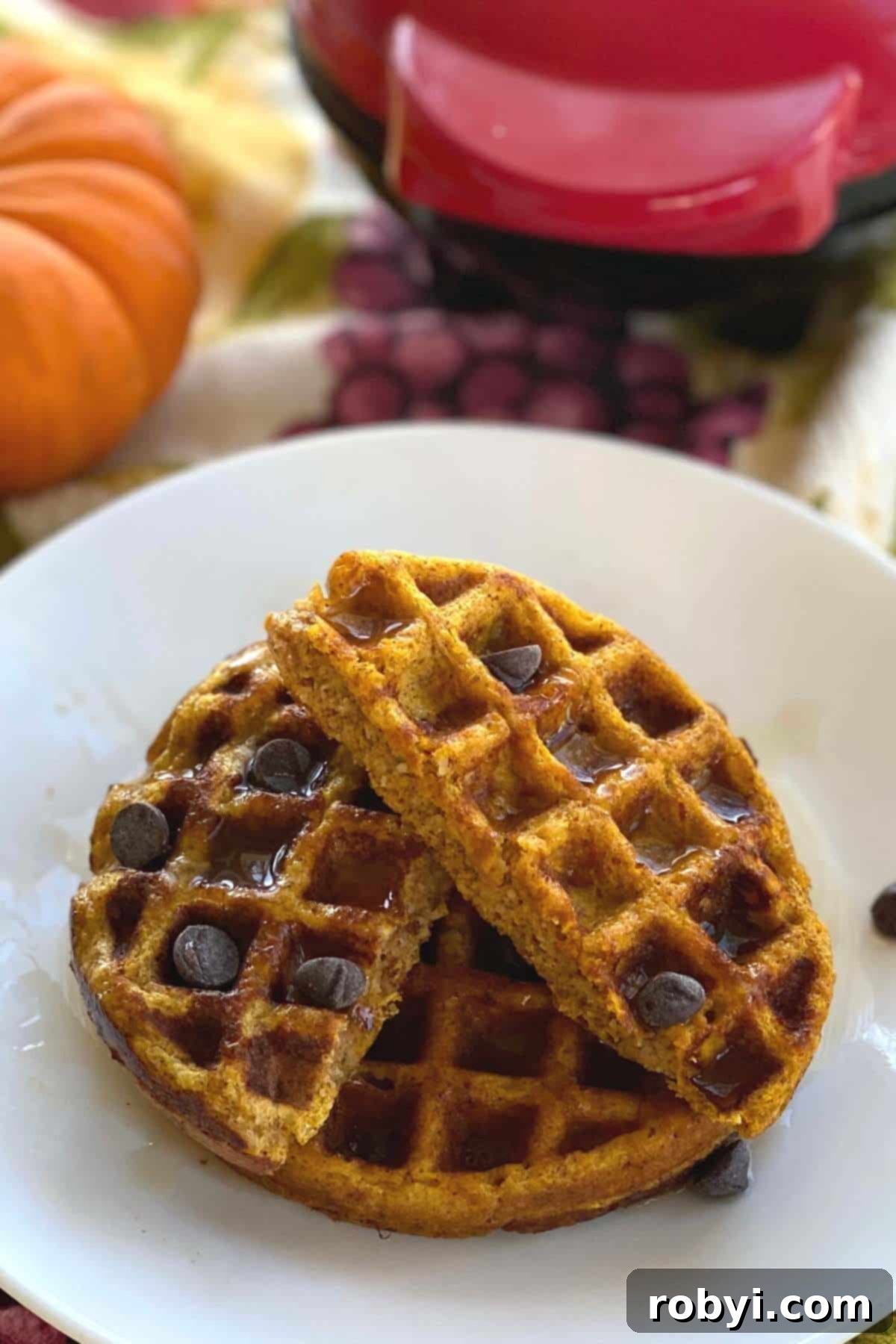 Keto pumpkin waffles on a plate with pumpkin and Dash waffle maker beind it.