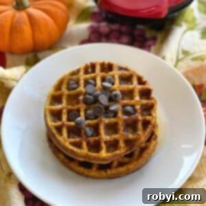 Two pumpkin chaffles topped with chocolate chips stacked on a plate with a pumpkin and waffle maker behind them.