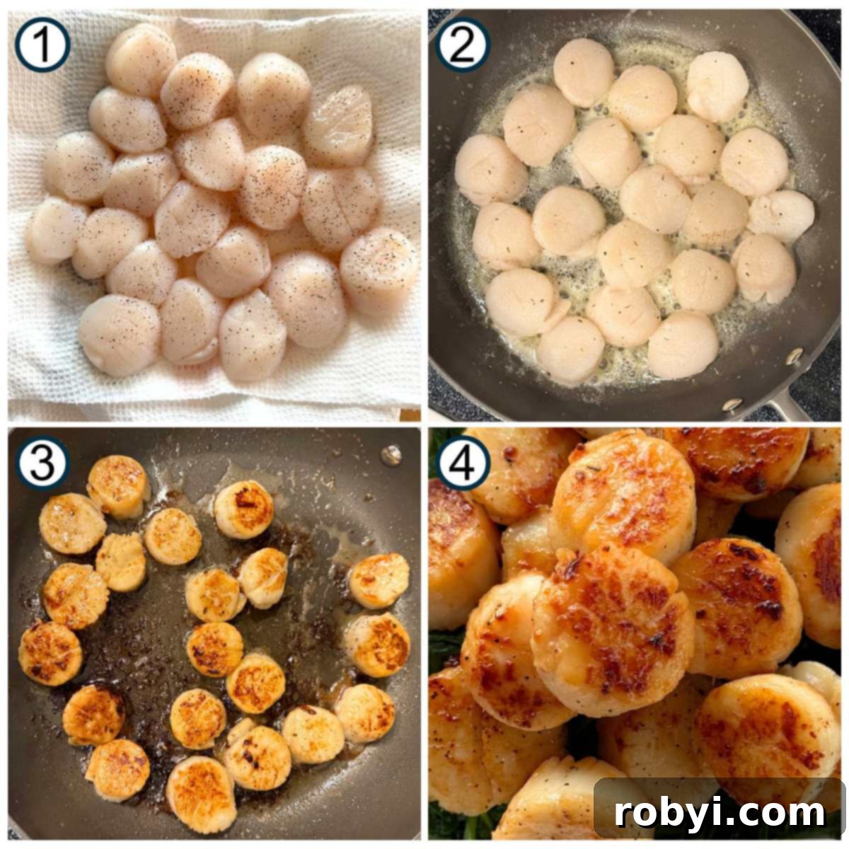 Quick and Creamy Scallop Fettuccine Alfredo 5 Numbered collage of steps to sear scallops: 1) uncooked scallops on paper towels, 2) scallops in pan with butter, 3) scallops browned on one side in skillet, 4) close-up of cooked scallops.