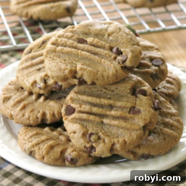 Pile of Sunflower Seed Butter Cookies with chocolate chips on a plate