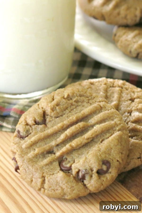 2 Sunflower Seed Butter Cookies next to a glass of milk