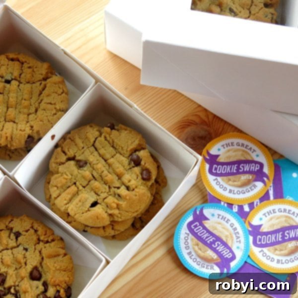 Sunflower Seed Butter Cookies with Chocolate Chips in a shipping box next to labels