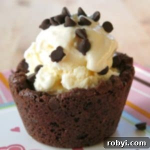 Double Chocolate Chip Cookie Cup with ice cream inside and topped with chocolate chips