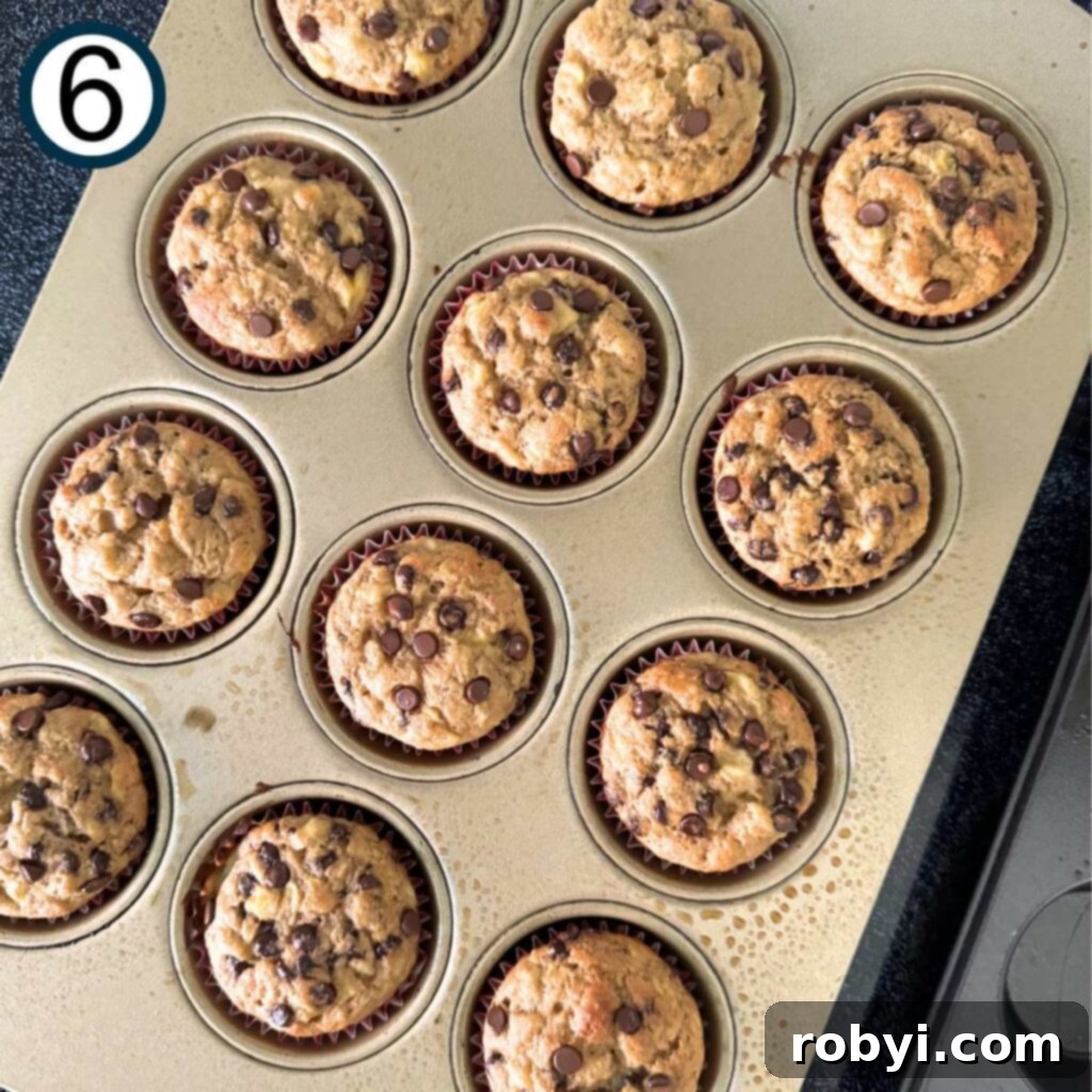 Twelve cooked banana yogurt muffins in a muffin pan, golden brown and perfectly baked.