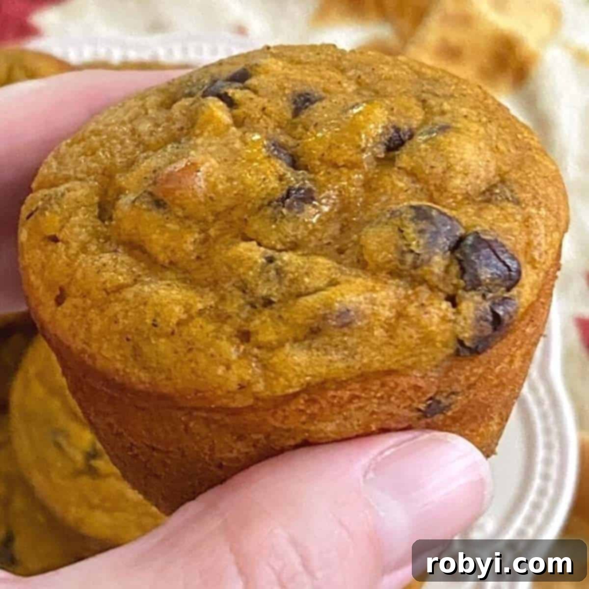 A hand gracefully holds a single healthy Greek yogurt pumpkin muffin, studded with delicious chocolate chips, ready to be enjoyed.
