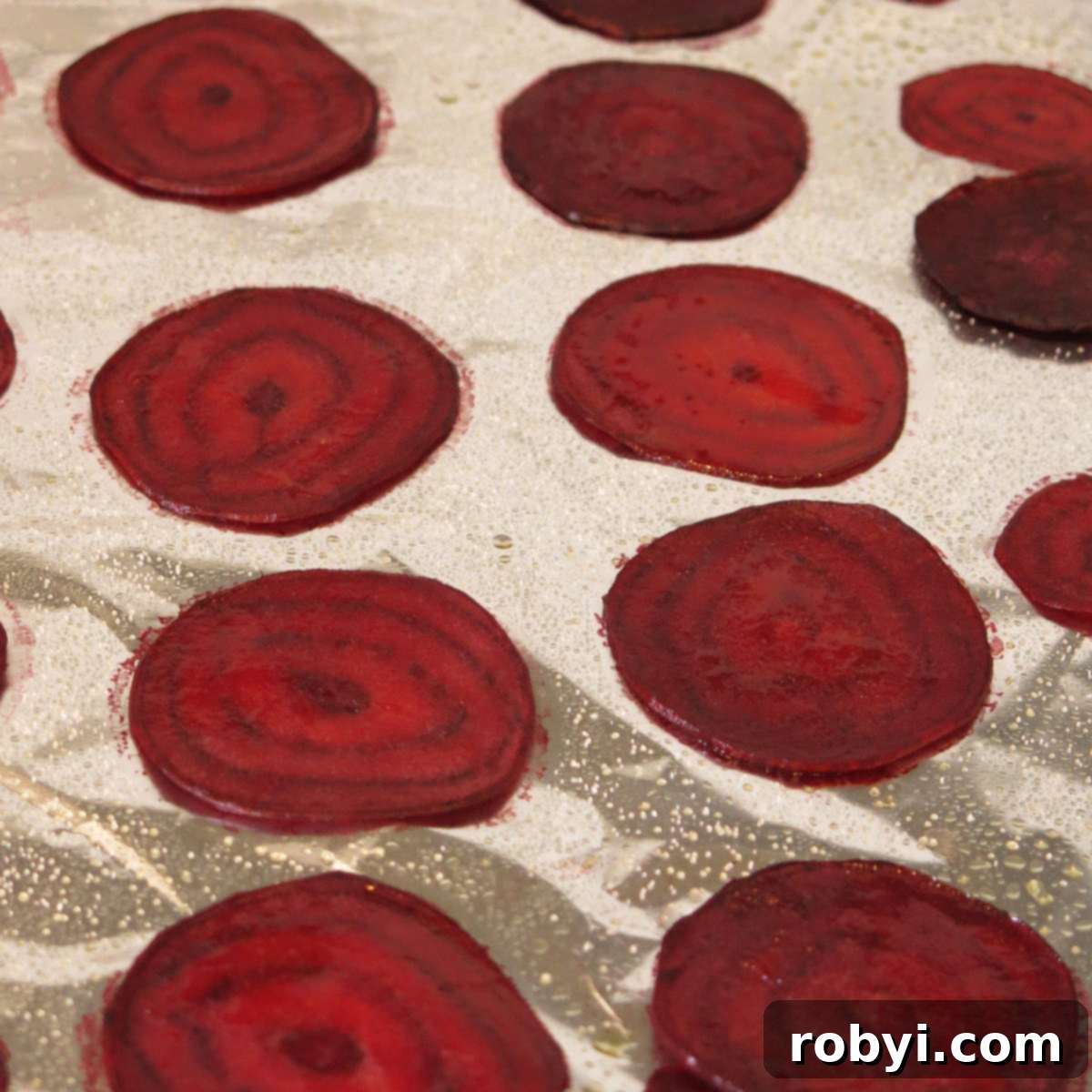 Uniformly sliced beet rounds, glistening with olive oil and seasoned with salt, are carefully arranged in a single layer on a parchment-lined baking sheet, prepared for oven baking.