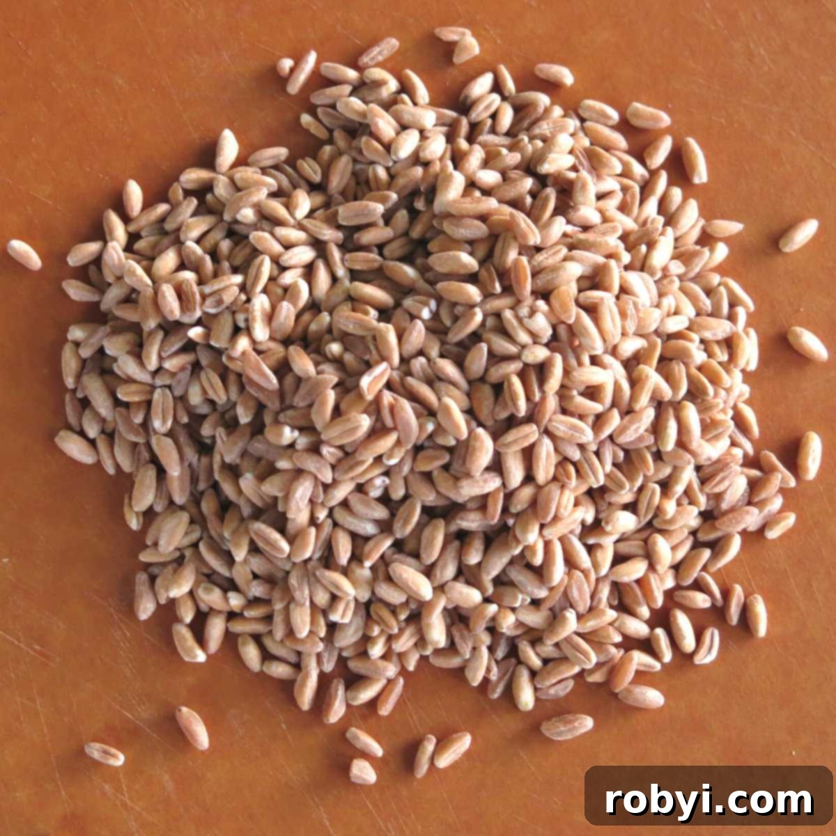Uncooked farro on a board.